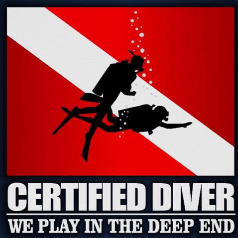 13255943_1200568426620560_1140150468752093144_n